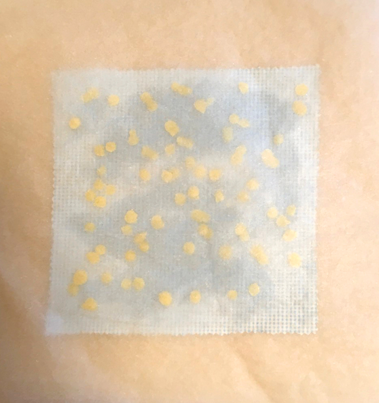 布とみつろうとクッキングシート