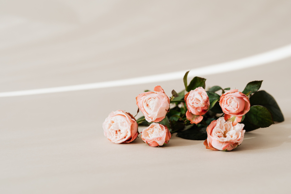 床に並んだピンクの薔薇の花束